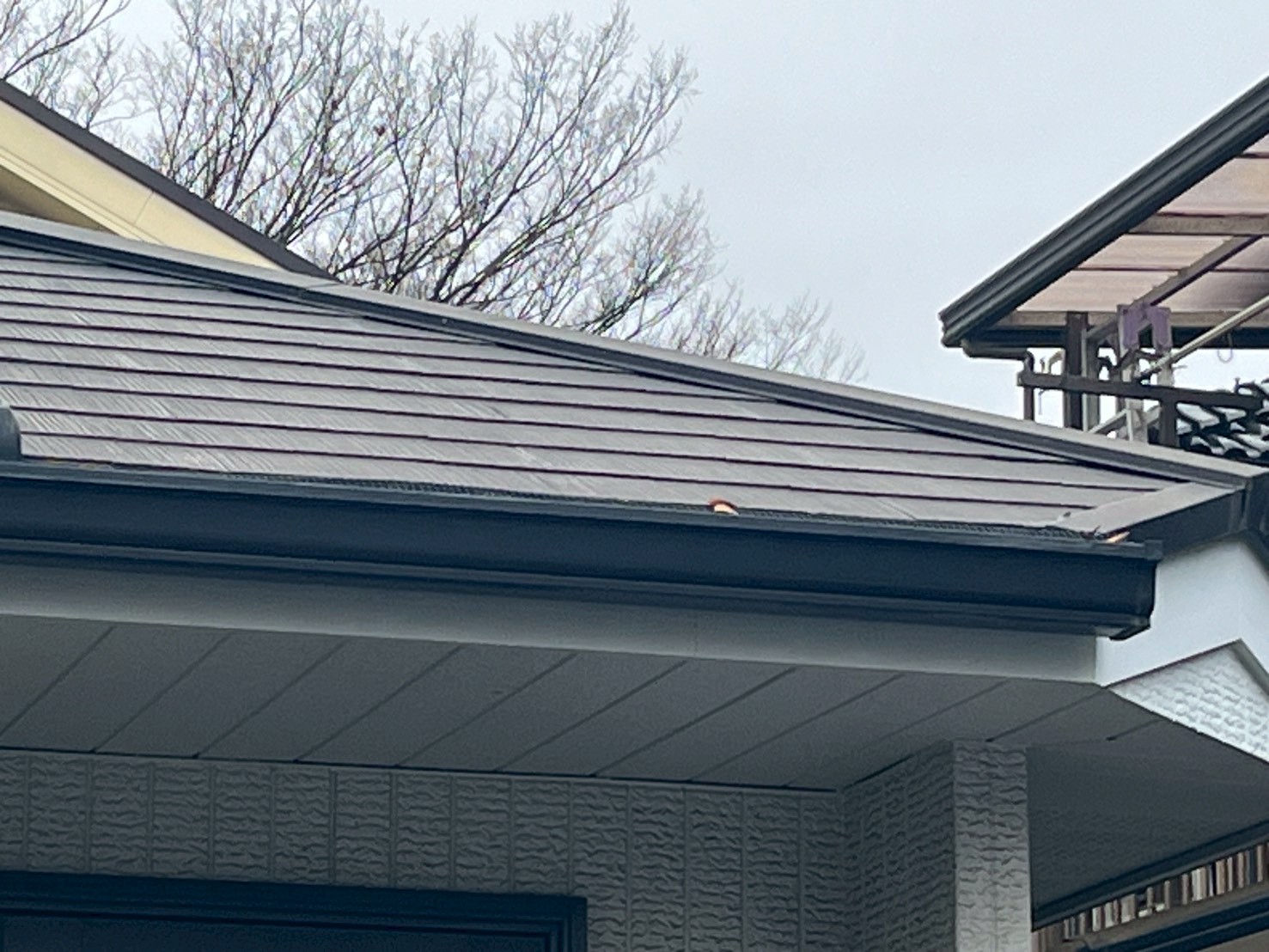 欠けや変形のない黒い軒樋